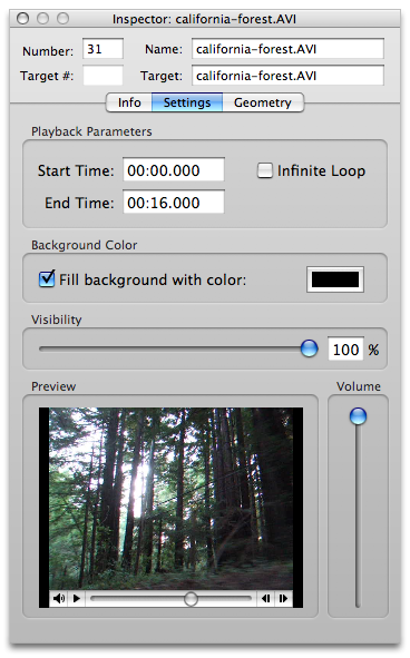 Video cue settings.